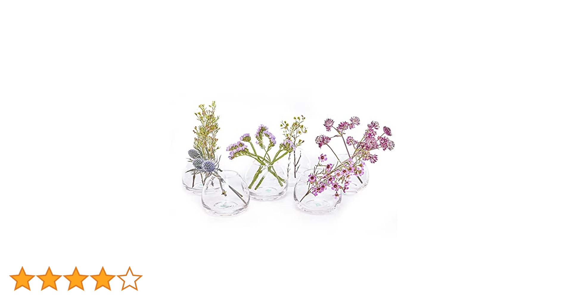 Chive - Set 6 George Shape 3, 3 Inch Wide 3 Inch Tall Unique